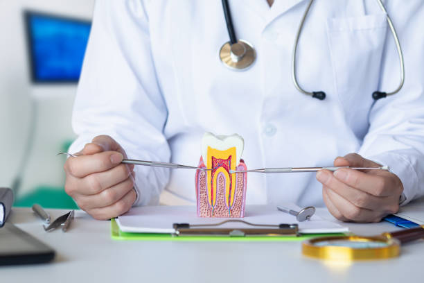 Best Emergency Denture Repair in Pevely, MO